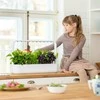 Išmanus namų sodas Click &amp; Grow Smart Garden 9 (Pilkas) SG9