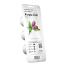 Click &amp; Grow sėklos išmaniajam vazonui - Violetiniai čili pipirai (SGR46X3) 3vnt.