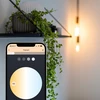 Lite bulb moments - Baltas Ambiance E27 kaitrinė lemputė - 3-Pack -S