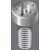 1/4" TorxPlus IPR antgalis varžtams su skylute ir apsauginiu kaiščiu, 10 dydis IPR/25mm, Wera [05134700001]