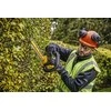 Akumuliatorinės gyvatvorių žirklės Dewalt 5035048728840