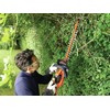 Black &amp; Decker Juodas &amp; Decker Gyvatvorių žirklės Juodas &amp; Decker GTC18502PC-QW; 18 V; 1x2,0 Ah; 50 cm ilgio; akumuliatorinės
