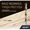 Grąžtas 6 prailgintų spiralinių grąžtų rinkinys medienai, 3–10 mm, „Timber Twist“, „Alpen“ [0067200006100]