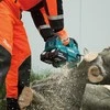 Grandininis pjūklas akumuliatorinė pjūklas grandininis 30cm, 2x18V Li-Ion XPT Makita [DUC306ZB] + Dovana rękawice