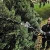 DEWALT PRZYSTAWKA NOŻYCE NA WYŚIĘG. DCMASPH6N SPLIT BOOM