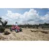 Mašinėlė BERG Go-kart Case IH BFR-3