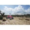 Mašinėlė GO-kartas Berg Case IH BFR (iki 100kg)