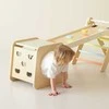 Medinis laipiojimo rinkinys Montessori 5in1 CLASSIC WORLD