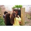 CLASSIC WORLD EDU edukacinis eksperimentinis rinkinys auginimui