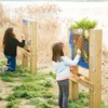 CLASSIC WORLD EDU Educational Experiment Kit for Insect and Animal Breeding