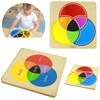 MASTERKIDZ edukacinė lenta su veidrodžiu, mokanti maišyti spalvas