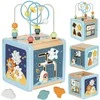 Tooky Toys Medinis veiklos kubas TOOKY TOY Cosmos