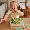 Tooky Toys TOOKY TOY Medinė Žaidimų Rinkinys 2w1 - Ištrauk Šliužus Vaikams