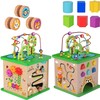 Tooky Toys TOOKY TOY Educational Cube Sorter Maze Intertwining Animals