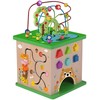 Tooky Toys TOOKY TOY Educational Cube Sorter Maze Intertwining Animals