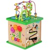 Tooky Toys TOOKY TOY Educational Cube Sorter Maze Intertwining Animals