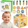 Tooky Toys TOOKY TOY medinis spyruoklinis lavinamasis kubas 5 in 1