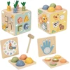 Tooky Toys TOOKY TOY medinis spyruoklinis lavinamasis kubas 5 in 1
