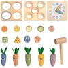 Tooky Toys TOOKY TOY medinis spyruoklinis lavinamasis kubas 5 in 1