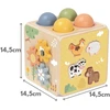 Tooky Toys TOOKY TOY medinis spyruoklinis lavinamasis kubas 5 in 1