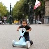 Vėliavos vėliavos važiavimas „Gokart Berg Go“