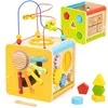 Viga Toys Viga edukacinė medinė kubelių užduočių dėžė 5in1