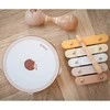Viga Toys VIGA PolarB muzikos instrumentų rinkinys su ežiuku