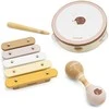 Viga Toys VIGA PolarB muzikos instrumentų rinkinys su ežiuku