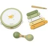 Viga Toys VIGA PolarB Musical Instrument Set Žalias
