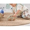 Edukacinių žaislų rinkinys Little Explorers VIGA