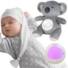 Miego draugas meškinas su projektoriumi ir lopšinėmis WOOPIE BABY