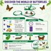 Woopie Butterfly Breeding Kit STEM Kit Mesh Accessories