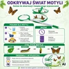 Woopie Butterfly Breeding Kit STEM Kit Mesh Accessories