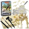 Dinozauro Skeleto Archeologiniai Kasinėjimai WOOPIE
