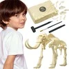 WOOPIE Žaislas Archeologinis Dinozauras Skeleto Rinkinys