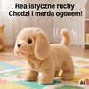 WOOPIE Interactive Brown Dog on a Leash with Accessories