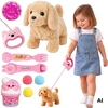 WOOPIE Interactive Brown Dog on a Leash with Accessories