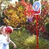 WOOPIE Freestanding Basketball Set Adjustable Height 90-170cm + Ball