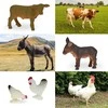 WOOPIE rinkinys Little Farmer XL Farm Figūros