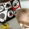 Montessori edukacinis rinkinys WOOPIE Žalias XXL 6in1