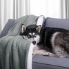 AmeliaHome Pledas SHLEEPY, 220x240 cm, spalva: pilka/balta