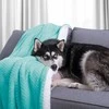 AmeliaHome Pledas SHLEEPY, 70X150 cm, spalva: turkio