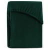 AmeliaHome Paklodė su guma 220-240x220+30 butelių žalia AH RUBY