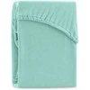 AmeliaHome Paklodė su guma 160–180×200+30 cm mėtinės spalvos AH RUBY