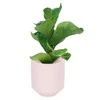 AmeliaHome FLOWERERPOT/AH/PASO/POWDERPINK/9X9,8