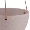 AmeliaHome GĖLĖS/AH/LOKAI/KACAO/15,4X10