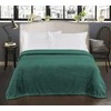 DecoKing Henry pledas 220×240 butelių žalia