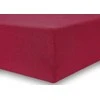 DecoKing Paklodė su guma 120–140×200 cm (30 cm)