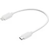 „Sandberg USB-C PD“ – „Lightning MFI“ 0,2 m