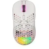 Belaidė įkraunama pelė žaidimams su RGB pašvietimu Fourze GM900, Balta